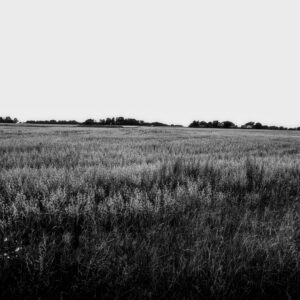 Image - A Field at Ödåkra - 6120x4590