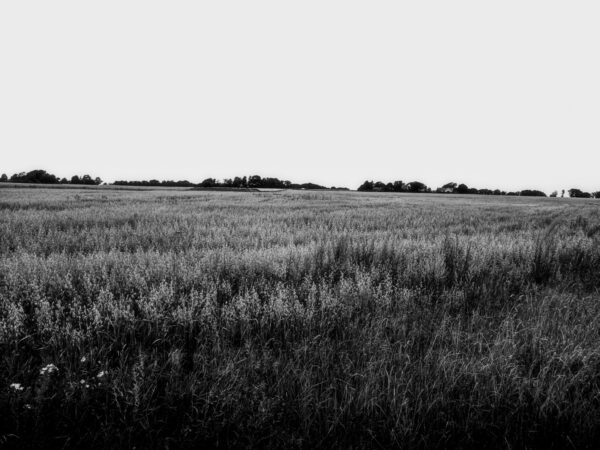Image - A Field at Ödåkra - 6120x4590